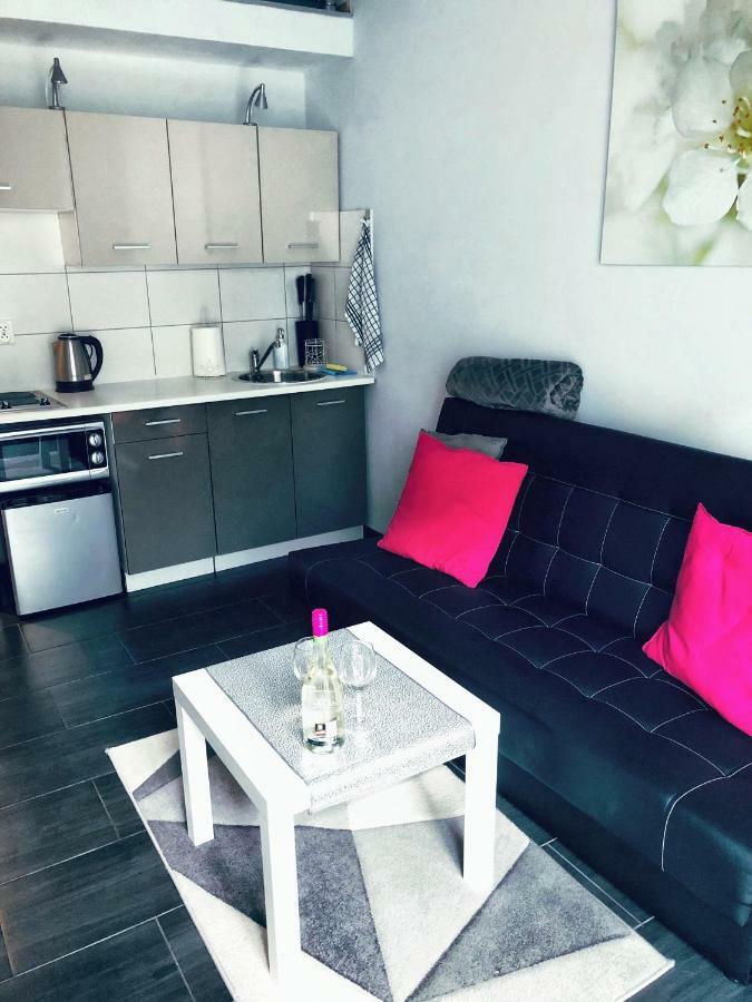 Apartament Orchidea New Slavia 米兹多洛杰 外观 照片