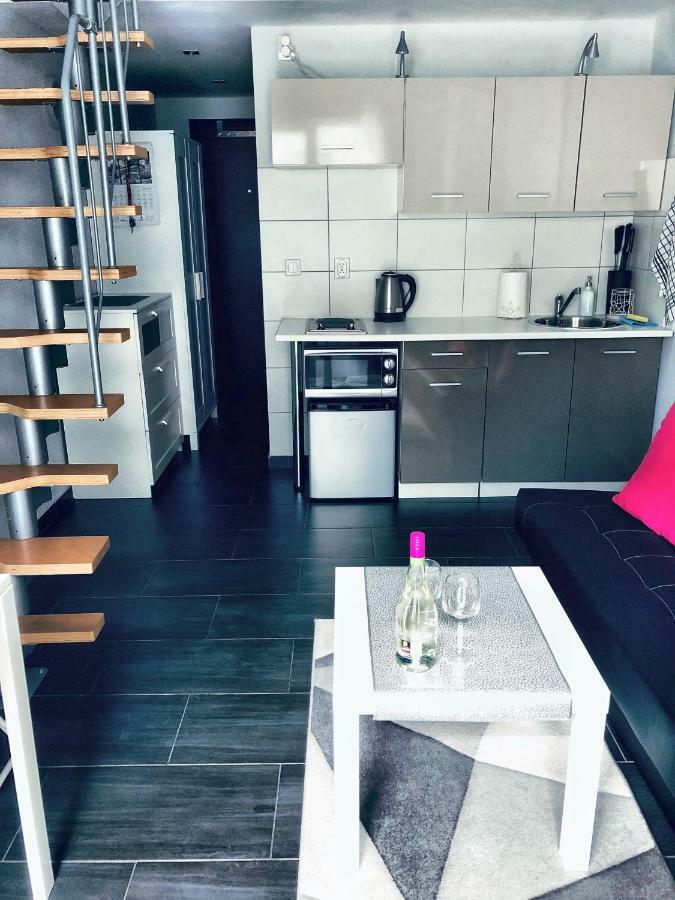 Apartament Orchidea New Slavia 米兹多洛杰 外观 照片