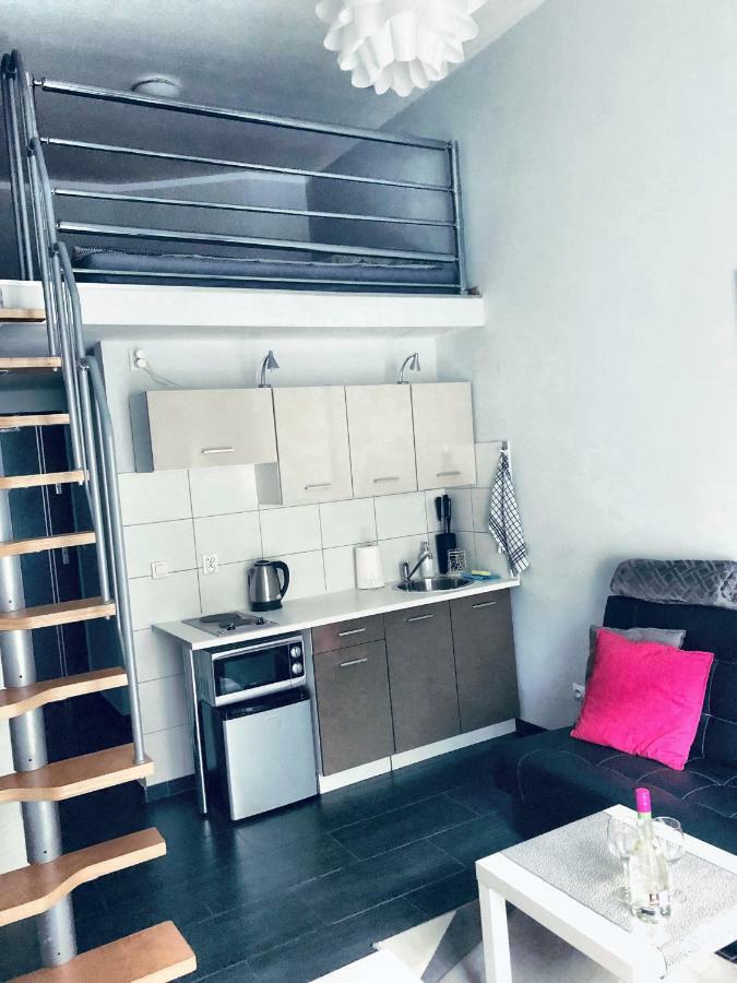 Apartament Orchidea New Slavia 米兹多洛杰 外观 照片